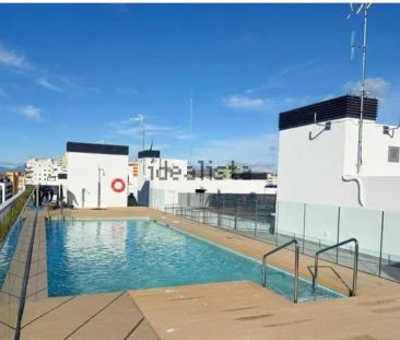 Alquiler de ático en Avenida de los Guindos, 12 - Photo 3