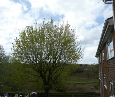 1 bedroom Flat - Osterley Close, Stevenage - Photo 6