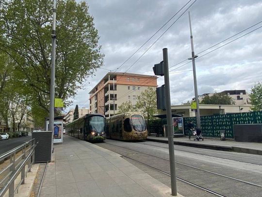 Location appartement 1 pièce 24.07 m² à Montpellier (34000) - Photo 1