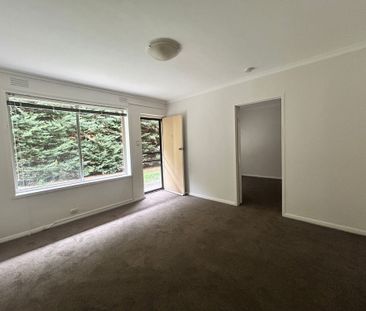 2/46 Riviera St, Mentone VIC 3194 - Apartment For Rent | Domain - Photo 6