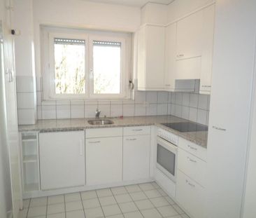 2.5 Zimmer, 44 m², 3. Stock - Foto 2