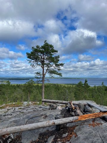 Skiftesgatan, Skellefteå - Photo 5