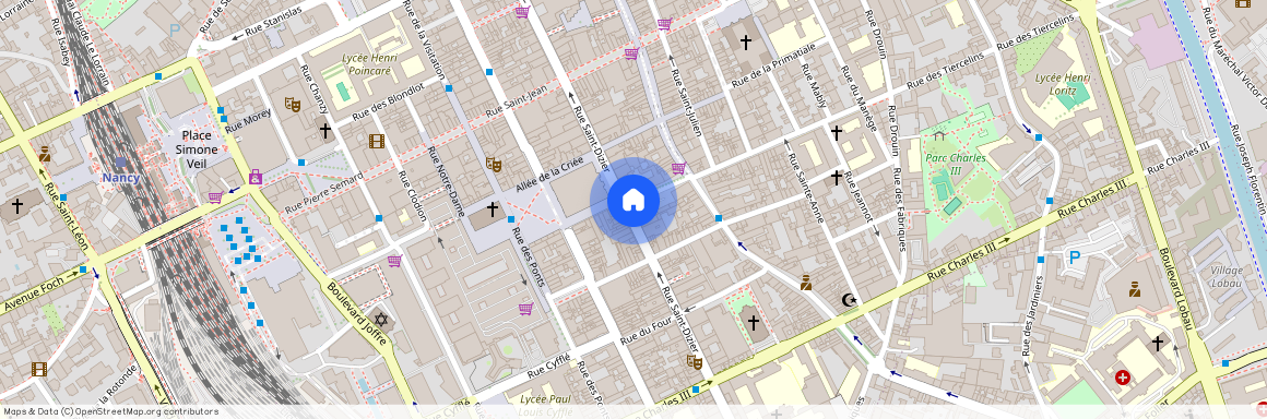 89 RUE SAINT DIZIER, Gambetta Carmes Faiencerie, Nancy