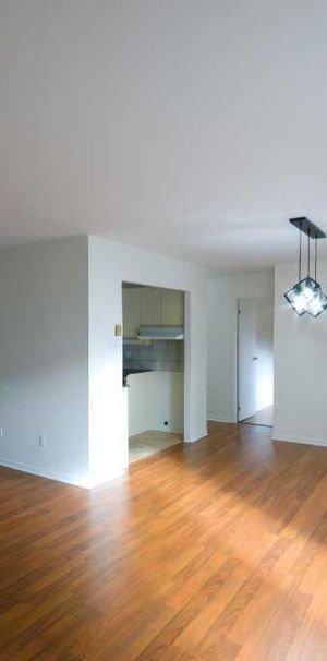 Condo à louer – Grand 4 ½ rénové à Sainte-Foy, secteur Campanile - Photo 1