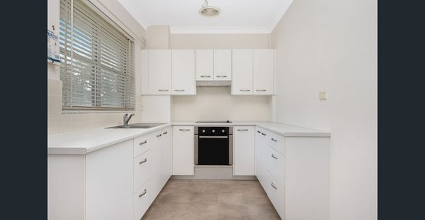 One-Bedroom Units – Peaceful Allambie Heights Retreat - Photo 1