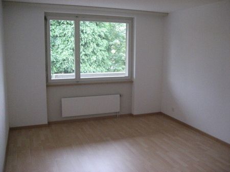 Appartement confortable avec des chambres lumineuses à louer à Berthoud - Photo 4