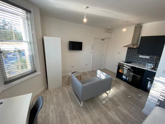 Studio Flat, Goldstone Villas, BN3 - Photo 1