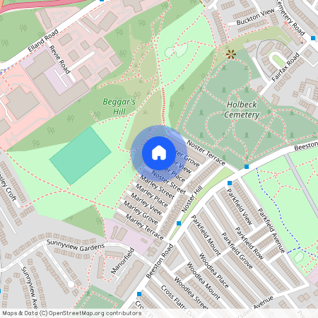 22, Noster Place, Beeston, Leeds, West Yorkshire, LS11 8QH