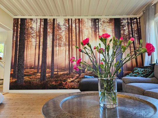 Johansgatan, Skellefteå - Foto 1