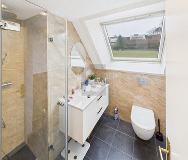 PANORAMIC VIEW OF THE BODENSEE - Photo 5