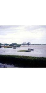 Absolute Beachfront ! - Photo 4