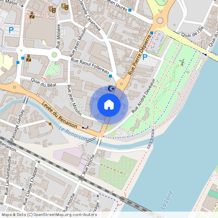 Roanne, 46 Rue Pierre Depierre (lots N°1 et 2), 42300