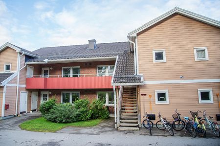 Räkstigen 46 C, 94135, Piteå - Foto 3