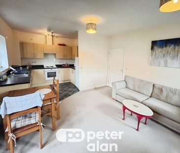 Panama Court, Jamaica Grove - Photo 2