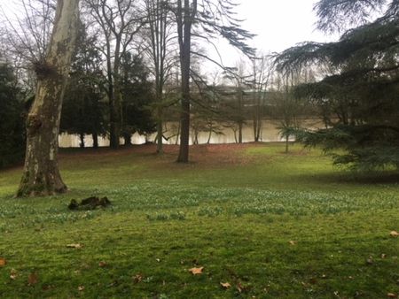 Location Appartement 1 Pièce 25 m² - Photo 5