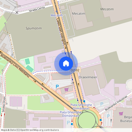 Timis, Timisoara