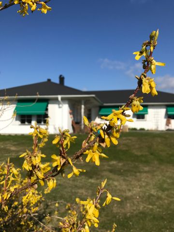 Kanans väg, Ekerö - Foto 5