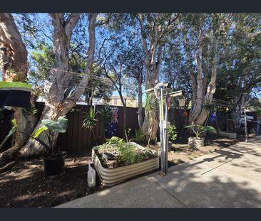 67 Alt Street, Ashfield, NSW 2131 - Photo 4