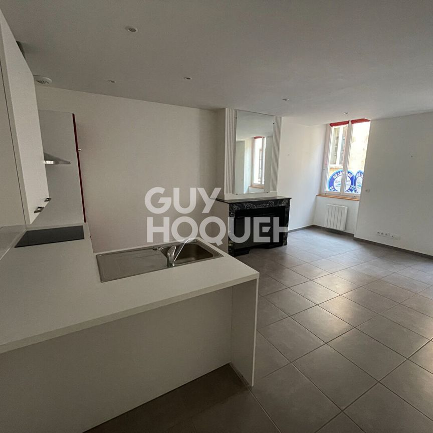 A LOUER - Appartement Vienne 2 pièce(s) 41.63 m2 - En très bon état - Centre ville de Vienne - Photo 2