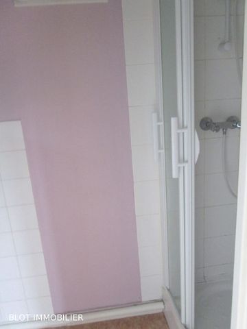 Location Appartement 1 pièce 16m² RENNES 35000 - Photo 3