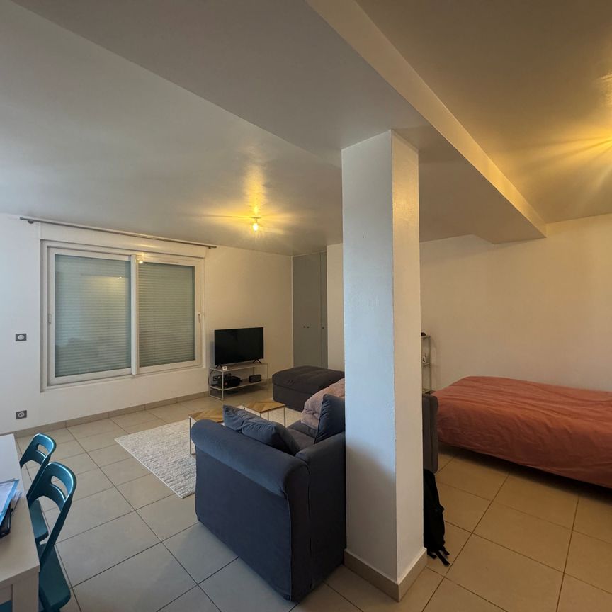 Location Appartement 1 pièce 45m² COULOMMIERS 77120 - Photo 1