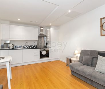 Napier Road | TOWN CENTRE | LU1 1RF - Photo 3