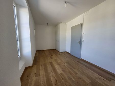 Magnifique duplex entièrement rénové avec grand balcon - Photo 3