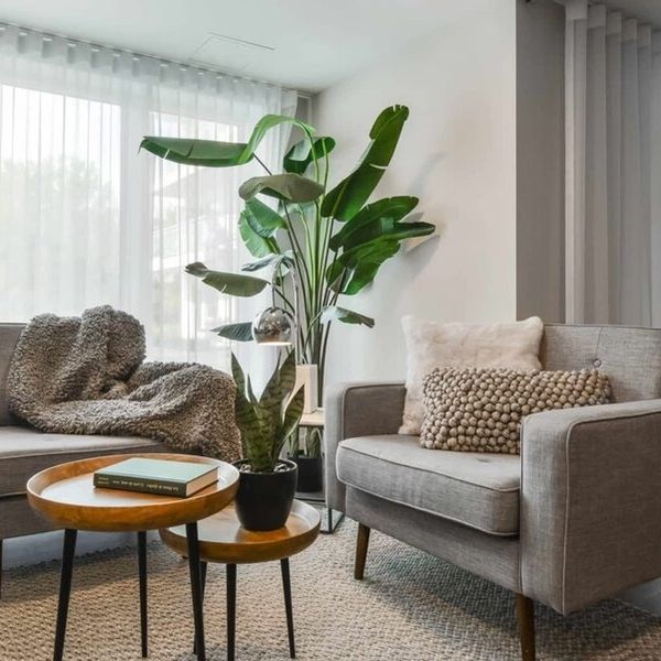 1 Bedroom - 235 Cuvillier Street West, Longueuil - Photo 1