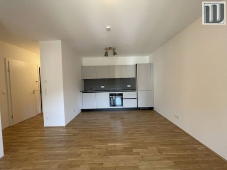 Neuwertige 1-Zi-Wohnung in Wiener Neustadt mit Loggia, Garage & Fußbodenheizung! - Foto 3
