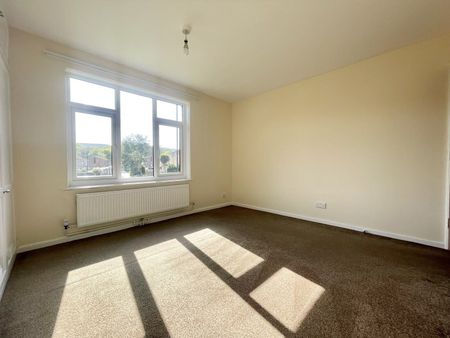Totley Brook Road, Dore, S17 3QY - Photo 3