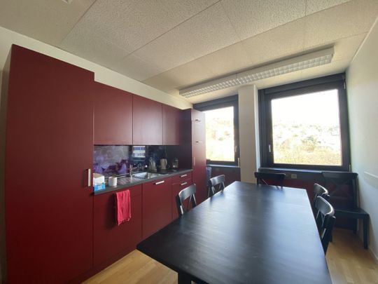 Large office in Neuchâtel / medical practice - Photo 1