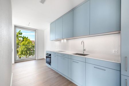 Neubauwohnung in Uster zu vermieten - Photo 3