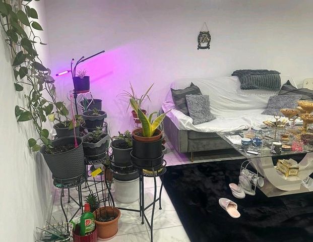 Vermiete schöne 2-Zimmer-Wohnung / Souterrain - Foto 1