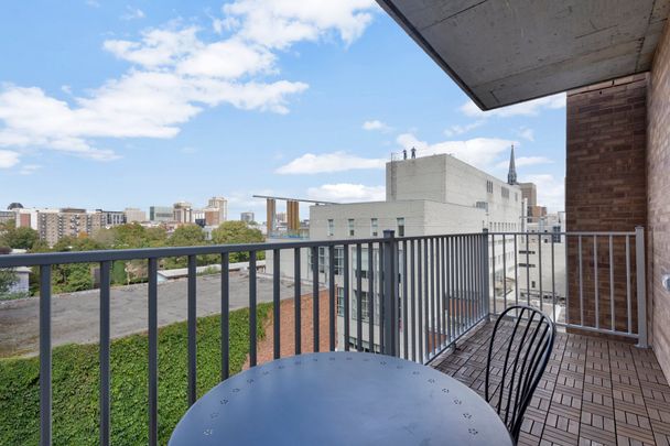 1406 Rue Ste Élisabeth, Montréal (Ville-Marie), QC H2C - Photo 1