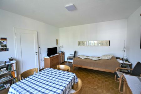 Perfekte Single-Wohnung: neues Bad, grosse Küche, Balkon, helle Zimmer, bester Anschluss an den öV - Photo 4