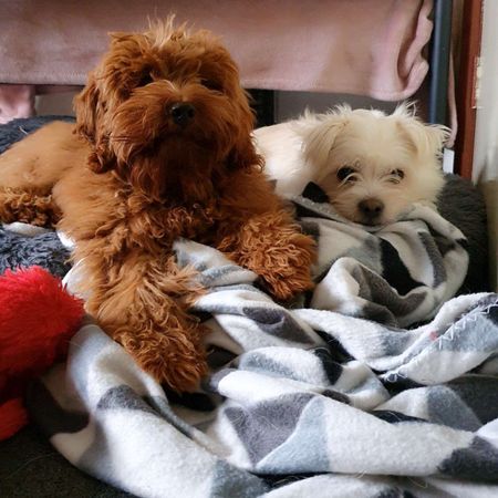 Noble Park - Photo 4