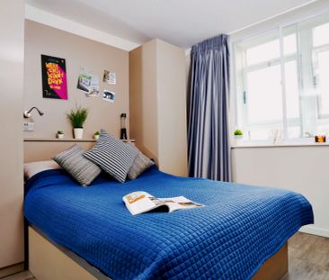 1 Bedroom, 1 Bathroom - Photo 3