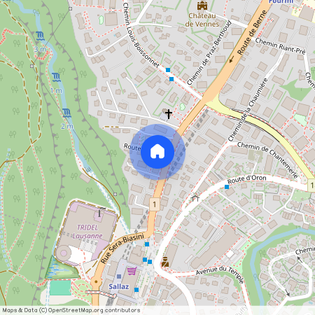 1010, Lausanne, Route De Berne, 31