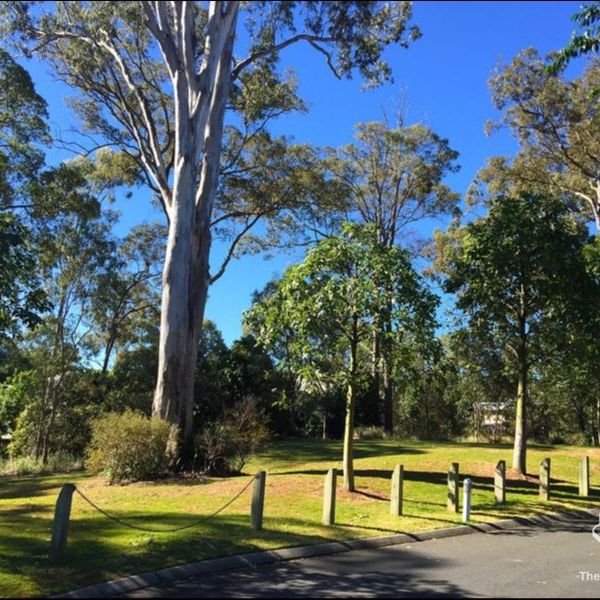 CLOSE TO BRACKEN RIDGE TAFE, BUS STATIONS AND SCHOOLS - Photo 1