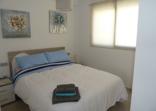 15 Sinergia World II – Id. 428