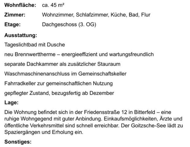 Charmante 2-Raum-DG-Wohnung in Bitterfeld – für eine Person - Foto 1