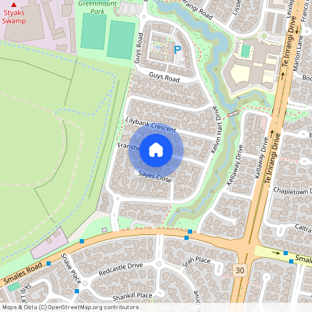 14 Franshell Crescent, Dannemora, Manukau City