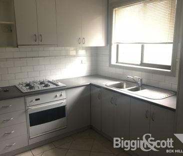 Spacious Family Home for Rent in Box Hill North - Photo 3