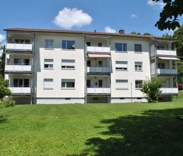 Au pied des vignes d’Uster - Foto 1
