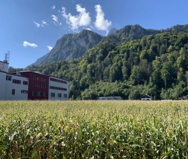 CHARMANTE 2,5 ZIMMER-WOHNUNG IM HOCHPARTERRE - Foto 4