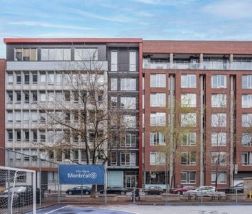 Appartement à louer - Montréal (Ville-Marie) (Centre) - Photo 6