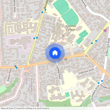 187D White Swan Road, Mount Roskill