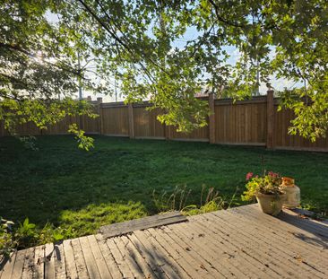 For Lease - 16 Portland Crescent, Newmarket, Ontario - Photo 5