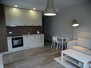 Na wynajem apartament 2 pokoje Bytków - Zdjęcie 1