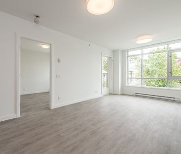 1008 Pandora Avenue, Victoria - Photo 3